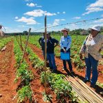 Produtores do Núcleo Rural Jardim e PAD-DF aprendem sobre irrigação eficiente