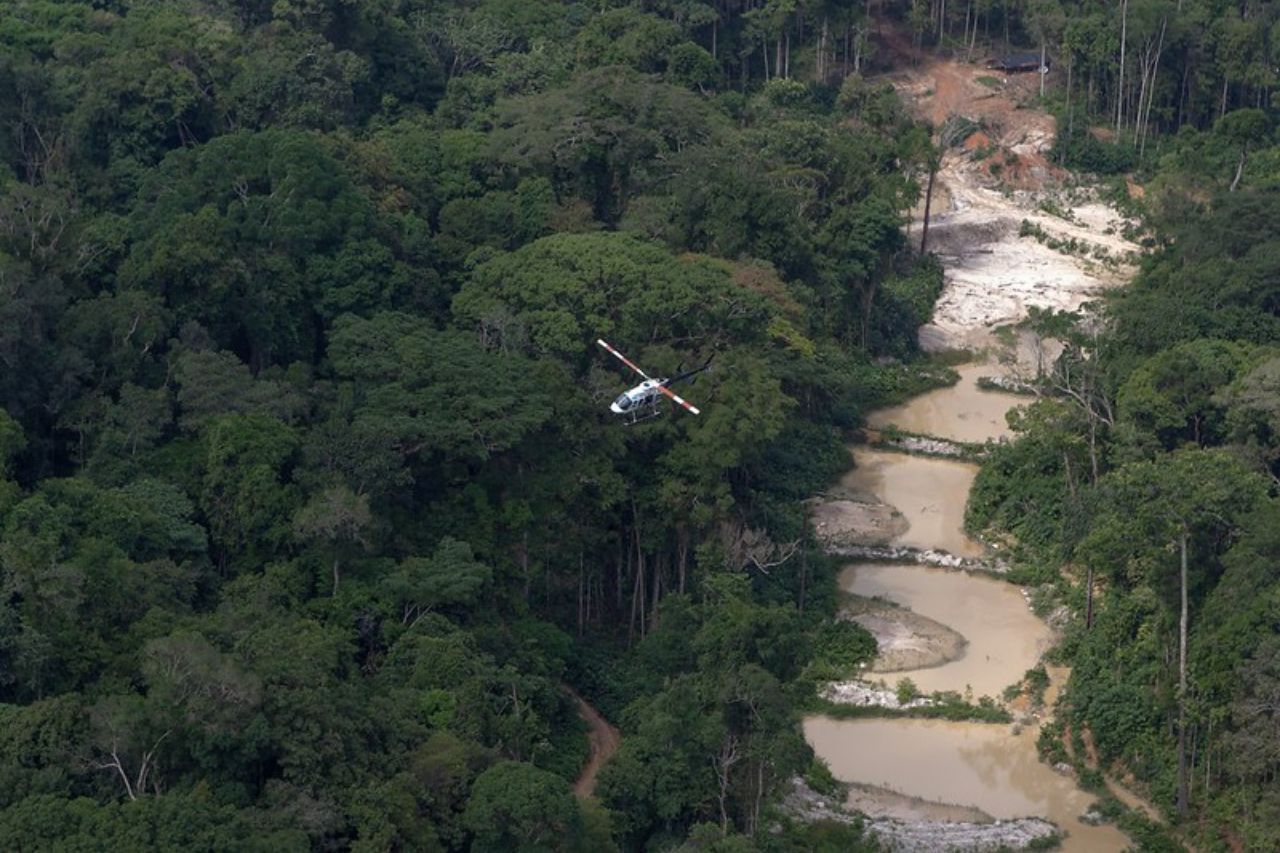 Ibama-define-nova-prioridade-para-enfrentar-perdas-na-biodiversidade-e-a-crise-climatica