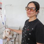 Doação de sangue no Serviço Veterinário Público salva a vida de pets
