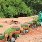 Área de descarte irregular de entulho é renovada em São Sebastião
