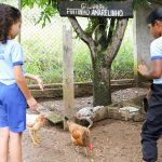Professores das escolas do campo do Gama discutem desafios das unidades