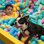 TGS é palco do lançamento “DC SUPERPETS”