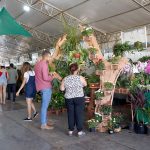 Feira da Goiaba começa nesta sexta (5) em Brazlândia