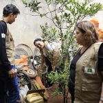 Dia D de combate à dengue na Fercal leva serviços de saúde à população