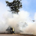 Decreto possibilita contratação de 150 brigadistas florestais para combate a incêndios