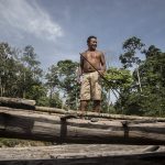 A estranha morte, à espera de resposta, de uma liderança indígena ameaçada no Maranhão