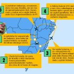 Cadela roubada no Sudoeste: Justiça resume caso a “desavença de casal”