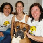 Veterinário nega socorro e cachorro morre após sofrer parada cardíaca