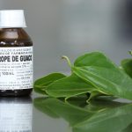 Farmácia Viva já produziu mais 3.700 frascos de xarope de guaco em 2024