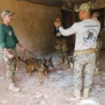 BPCães expande curso especializado em detecção de substâncias para outros estados