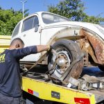 Operação recolhe mais de 25 carcaças no Cruzeiro