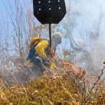 GDF investe em ações conjuntas para evitar incêndios na época da seca