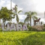 Reforma de pontes sobre o Córrego Guará começa neste sábado (25)