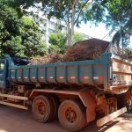 Mutirão promove retirada de lixo verde e renovação de parques no Plano Piloto
