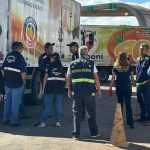 Fiscalização na Ceasa intensifica controle sanitário e o combate ao cancro cítrico
