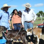 Ordenha mecânica e Dia da Saúde marcam terceiro dia da Emater-DF na AgroBrasília