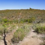 Fórum Integrado promove conscientização sobre a proteção do Cerrado