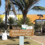 Zoológico de Brasília lança campanha para ajudar trabalhadores de zoos do RS