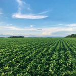 A AgroBrasília leva informações sobre a Agricultura Regenerativa à cidade de Catalão-GO