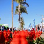 AgroBrasília – BRB oferecerá pacote de valor especial durante evento