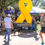 Dia Mundial do Trânsito e da Cortesia ao Volante é celebrado com conscientização no Parque da Cidade