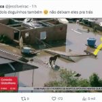 Resgate de cavalo em telhado é complexo e equipes atuam em “sincronia”
