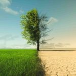Metade dos municípios brasileiros não possuem ações contra a crise climática