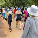 Ação no Parque da Cidade terá foco na proteção à pessoa idosa