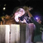 Zoo Noturno diverte visitantes com experiência única no mundo animal