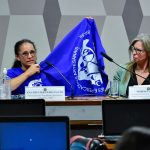 A casa de dona Ilda e a ilha de Flávio Bolsonaro