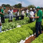 Evento promoverá capacitação de produtores rurais do Gama e de Vargem Bonita