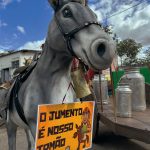 GRANDE SÃO JOÃO DO GUARÁ neste final de semana
