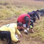 Brigadistas florestais passam por testes antes de contratação temporária