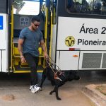Com 4 mil cegos, DF tem apenas 11 cães-guias em atividade