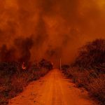 Pantanal: Com seca e queimadas, cresce pressão por lei que proteja o bioma