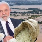 Matemática na importação do arroz já revelava erro na iniciativa do governo