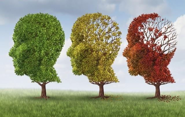 Alzheimerdffhb