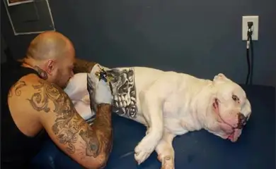 cachorro_tatuado02