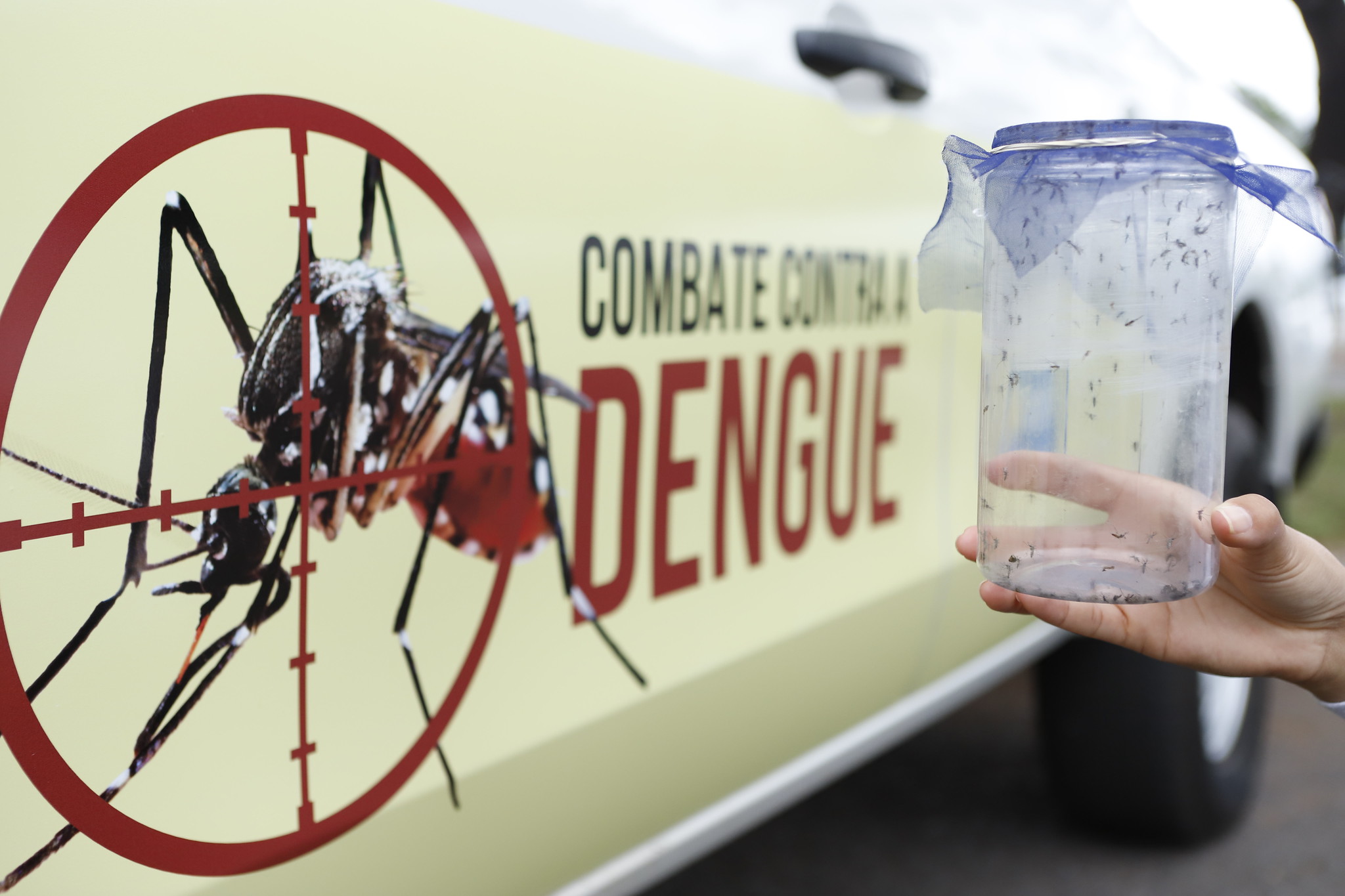 Dia D de Mobilização da Dengue - Jhonatan Cantarelle - Agência Saúde DF (2)