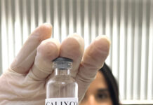 Uma potencial vacina contra a cocaína